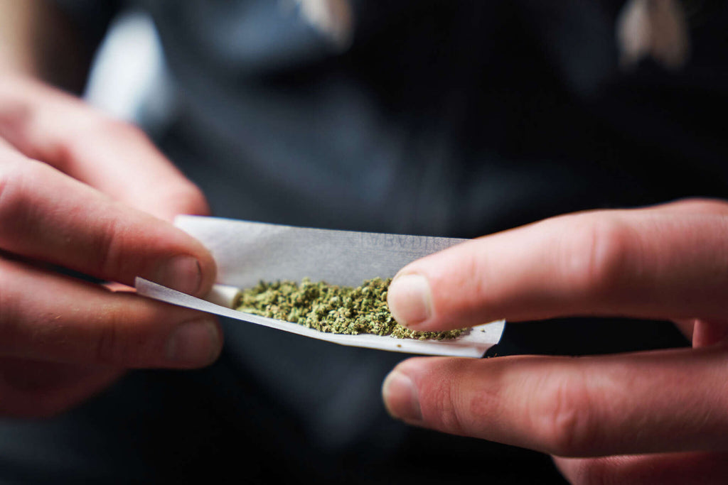 420 Hidden Gems: Coffeeshop History Tour + Rolling Art Workshop